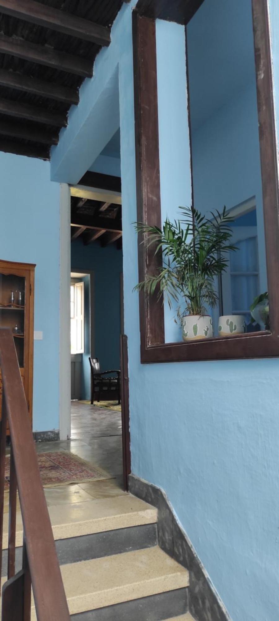 La Ballena Azul لوس سيلوس المظهر الخارجي الصورة