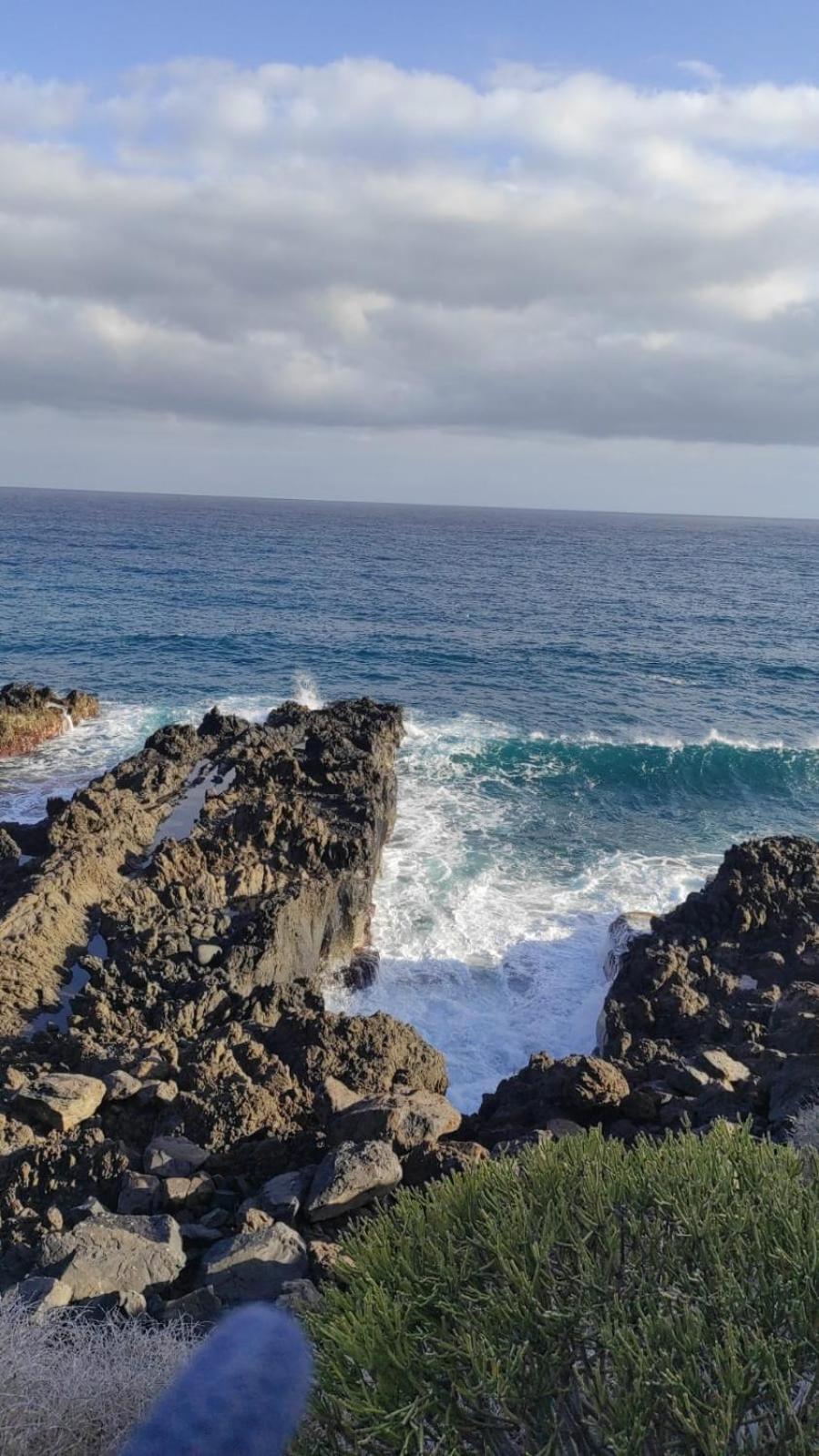 La Ballena Azul لوس سيلوس المظهر الخارجي الصورة